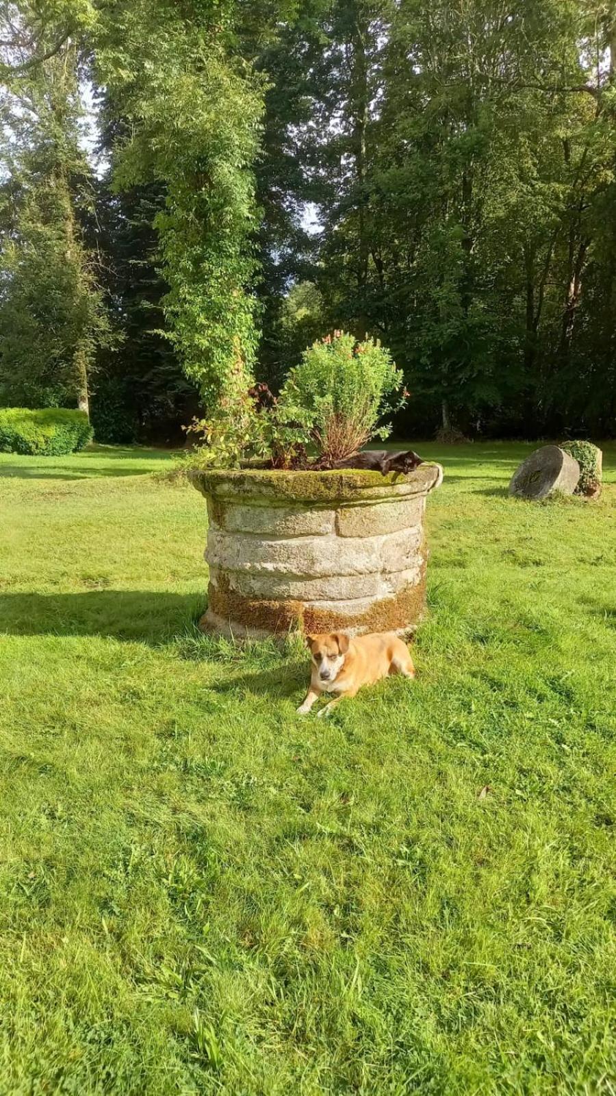 La Lande Hotel Pleyber-Christ Bagian luar foto